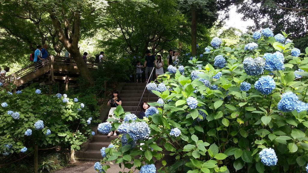 Enoshima Guest House 134 Fujisawa Esterno foto